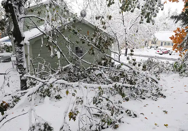 Minnesota's Best Home Watch Services offers Storm Services